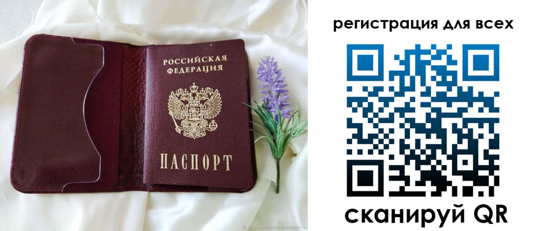 прописка 2025 в Бабаево